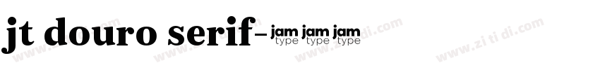jt douro serif字体转换